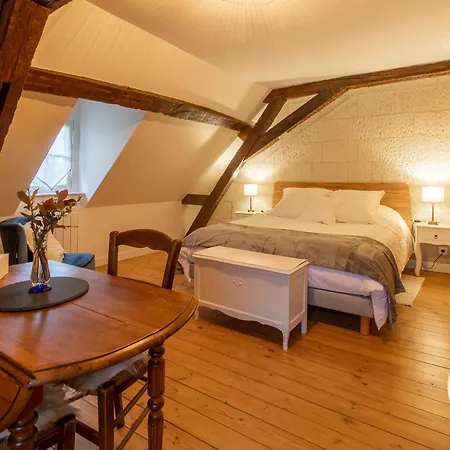 D'hotes Elegantes Proche Loire Avec Parc Et Piscine - Fr-1-622-114