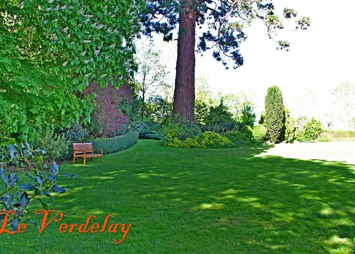 D'hotes Elegantes Proche Loire Avec Parc Et Piscine - Fr-1-622-114