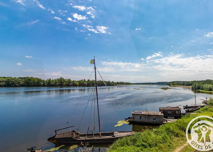 D'hotes Elegantes Proche Loire Avec Parc Et Piscine - Fr-1-622-114