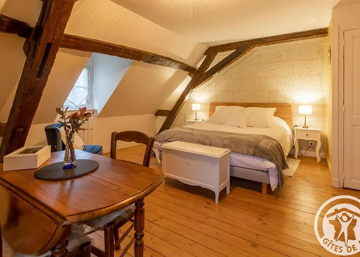 D'hotes Elegantes Proche Loire Avec Parc Et Piscine - Fr-1-622-114