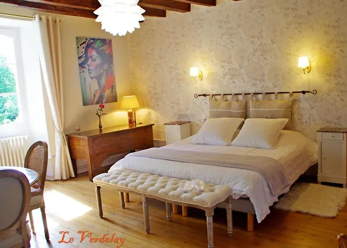 Panzió D'hotes Elegantes Proche Loire Avec Parc Et Piscine - Fr-1-622-114