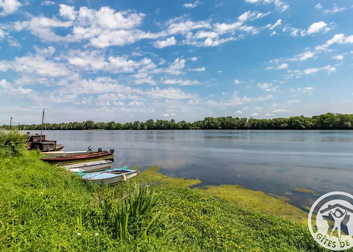 D'hotes Elegantes Proche Loire Avec Parc Et Piscine - Fr-1-622-114 Bed & Breakfast La Menitré